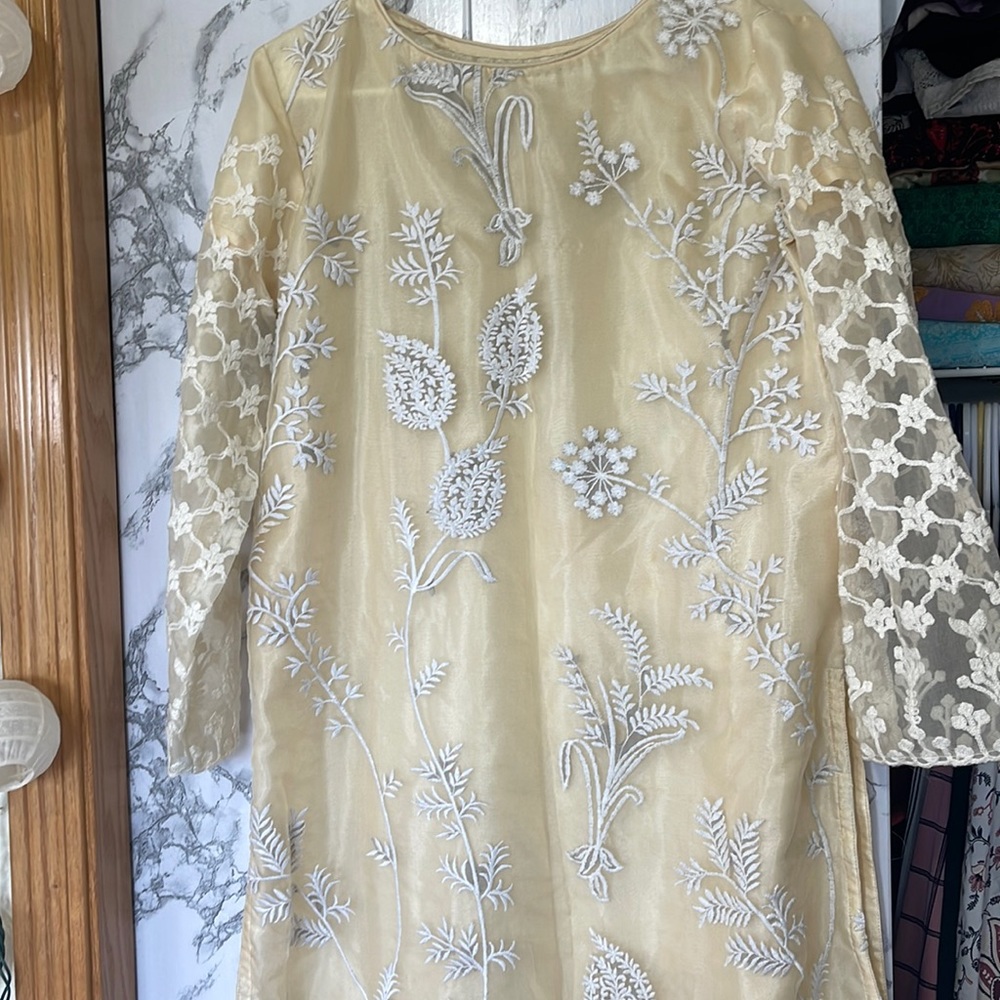 Pakistani suit dress! 3 piece